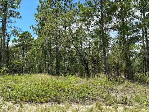 SW Timberlake Road, Dunnellon, FL 34431