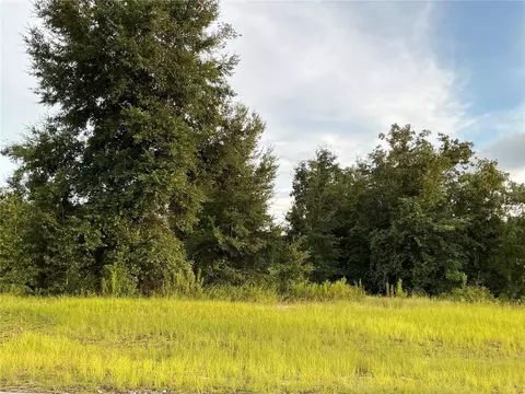 SW 138th Lane, Ocala, FL 34473