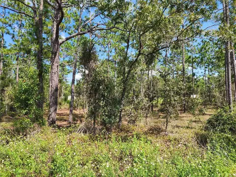 tbd SW Ridgewood Rd, Dunnellon, FL 34431