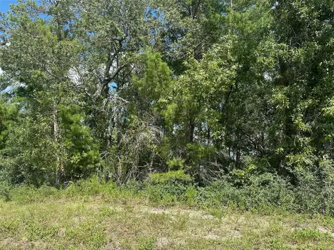 tbd SW 46th Cir, Ocala, FL 34473
