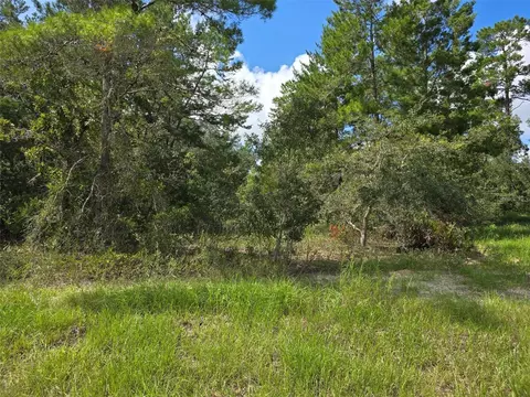 19 Candytuft Ct, Homosassa, FL 34446