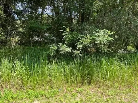lot21 NW And 22 Nw 12 Ct, Ocala, FL 34475
