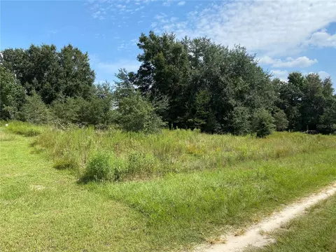 Sw 105th Place O, Dunnellon, FL 34432