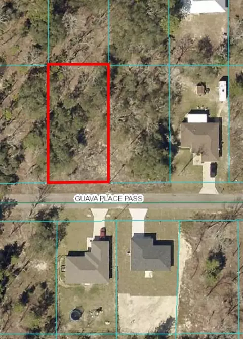 0 Guava Place Pass #LOT 10, Ocklawaha, FL 32179