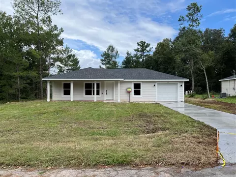 15 Guava Pass, Ocklawaha, FL 32179