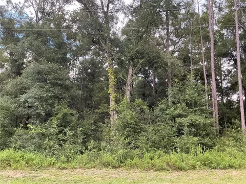 SW 117th Avenue Road, Ocala, FL 34481