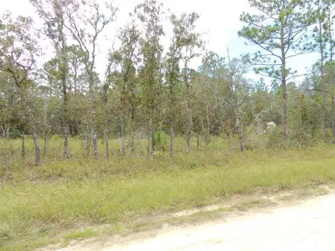 690 NE 135th Ct, Williston, FL 32696