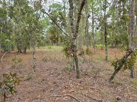SW Mango Lane, Dunnellon, FL 34432