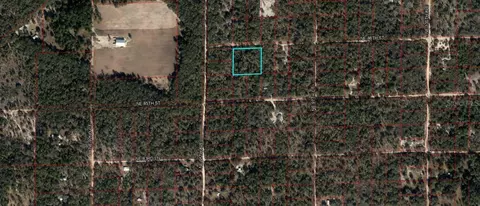 lot S 211-212 Ne 86th St, Bronson, FL 32621