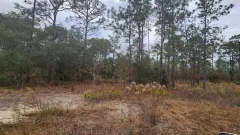 SW Mandrake Drive, Dunnellon, FL 34431