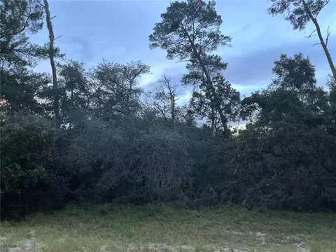 SW 178th Lane Road, Ocala, FL 34473