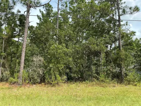 SW 131st Loop, Ocala, FL 34473