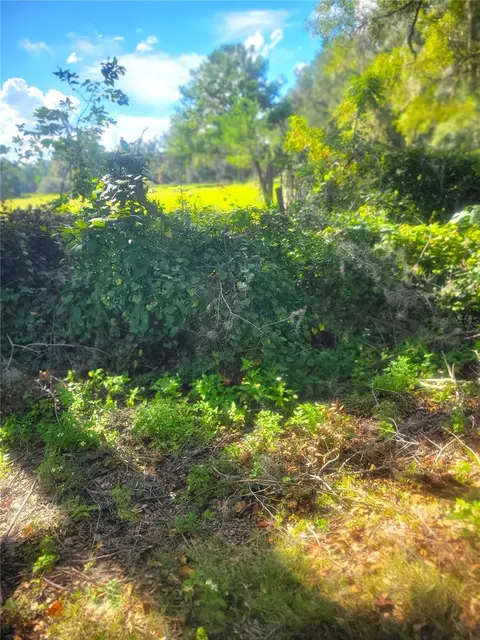 Tba 43rd Pl, Newberry, FL 32669