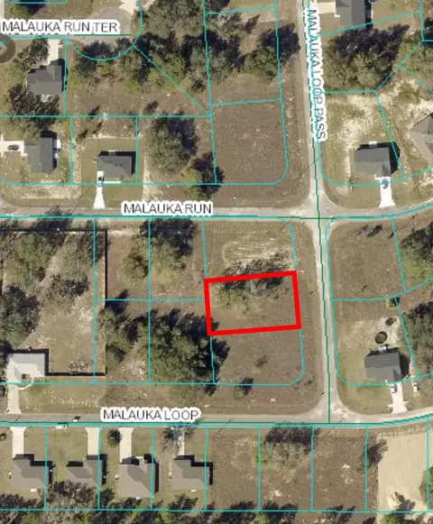 0 Malauka Loop Pass, Ocklawaha, FL 32179