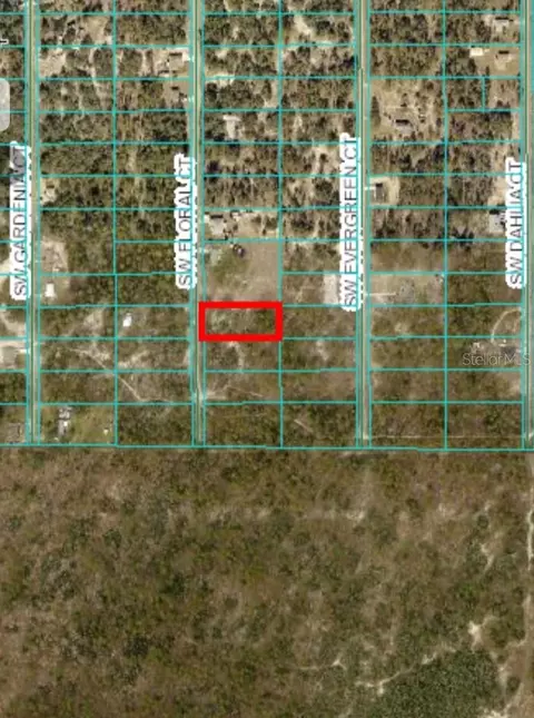 lot21 SW Floral Ct, Dunnellon, FL 34431