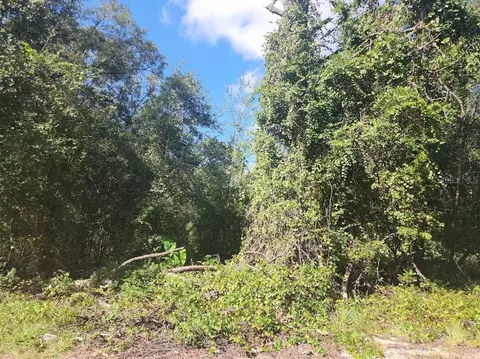 NW 52nd Court, Ocala, FL 34482