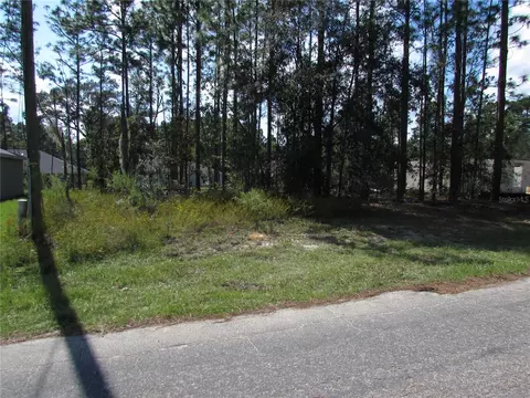 9250 N Travis Dr, Citrus Springs, FL 34434