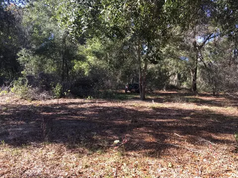 00 Malauka Run # 26, Ocklawaha, FL 32179