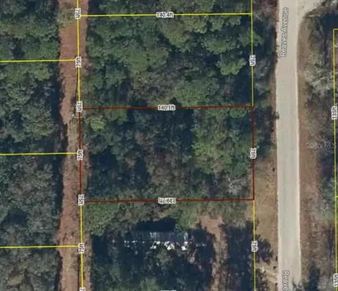 lot19 Reaves Ave, Interlachen, FL 32148