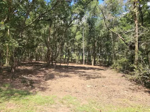 SW Pine Bluffs Road, Dunnellon, FL 34431