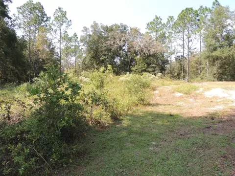 150 NE 157th Ter, Williston, FL 32696