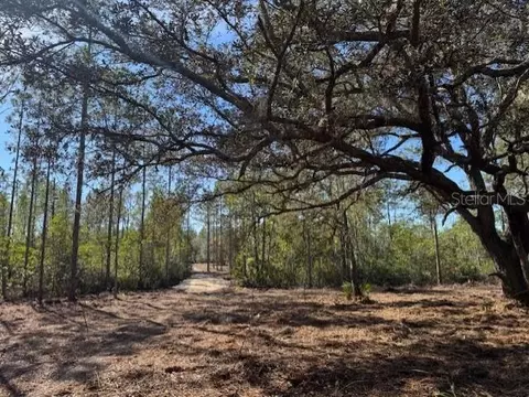 11901 NE 150th Ave Rd, Fort Mc Coy, FL 32134
