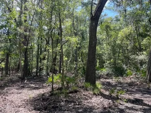 tbd SW 6th Ter, Micanopy, FL 32667