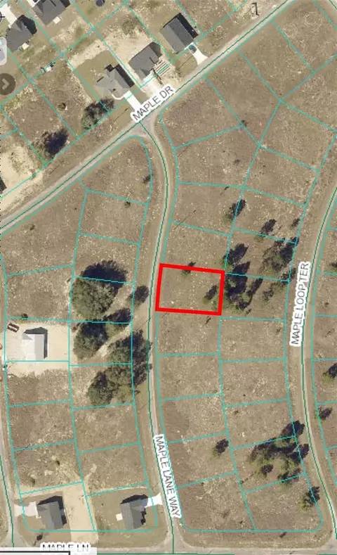 11 Maple Lane Way, Ocklawaha, FL 32179