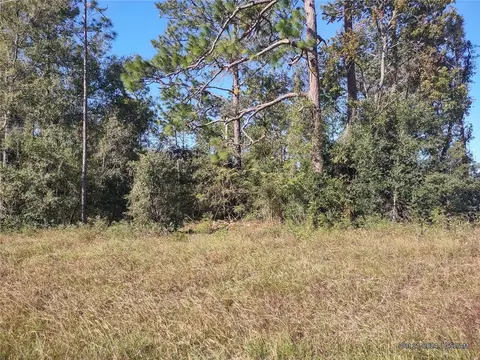 tbd NE 140 Ave, Williston, FL 32696