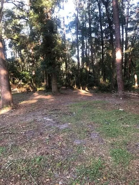 3731 NE 210 Ct, Williston, FL 32696