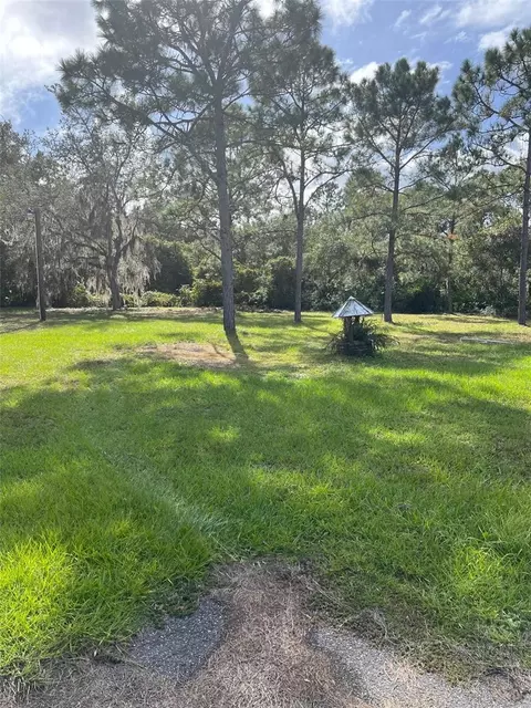 217219 Crescent Lake Shore Dr, Crescent City, FL 32112