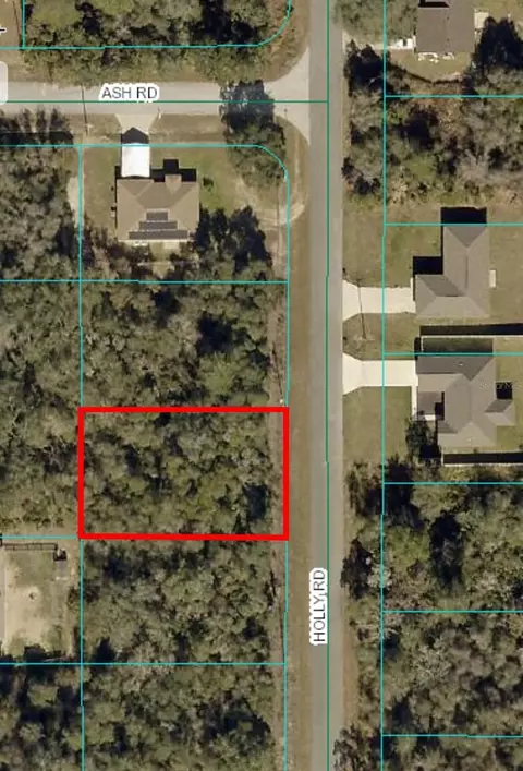 Holly Road, Ocala, FL 34472