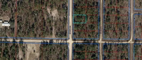 0 NE 150th Ave, Williston, FL 32696
