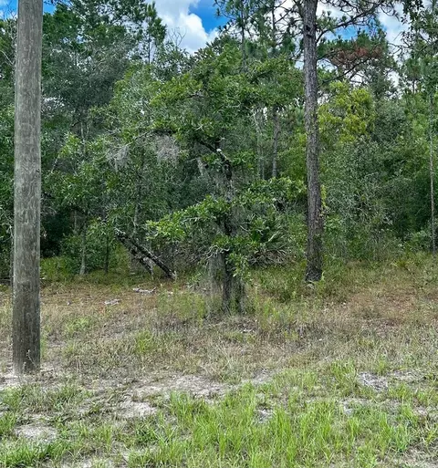 5615 W Oak Park Blvd, Homosassa, FL 34446