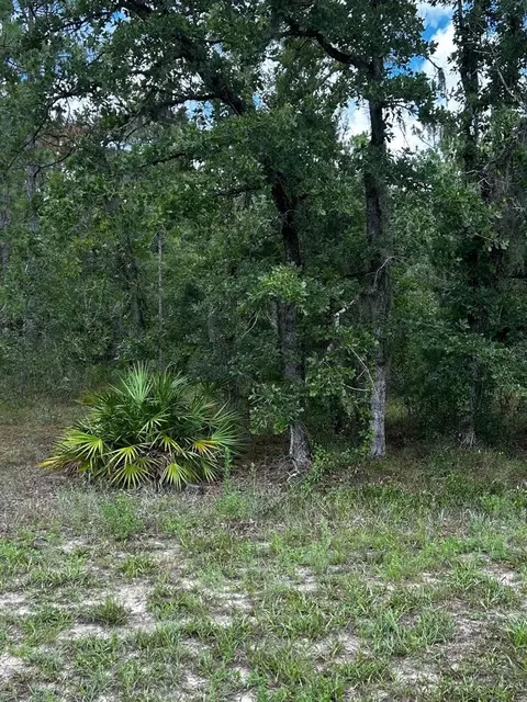 6481 W Oak Park Blvd, Homosassa, FL 34446
