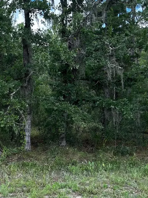 5863 W Oak Park Blvd, Homosassa, FL 34446