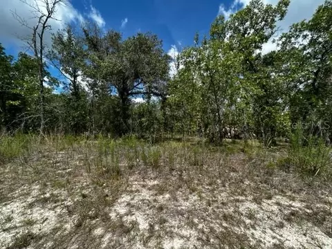 6286 N Bedstrow Blvd, Dunnellon, FL 34434