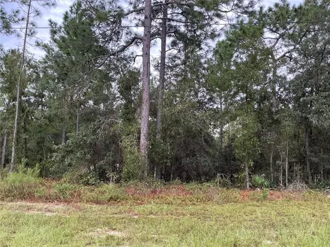 SW 133rd Street Road, Ocala, FL 34473