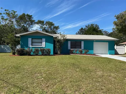 1451 Greenview Ave, Spring Hill, FL 34606