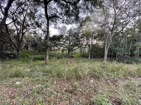 tbd SE 128th St, Belleview, FL 34420
