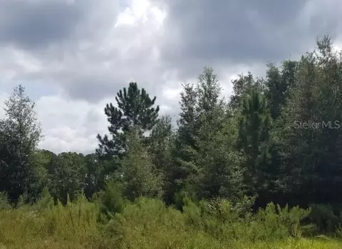 0 SW 202nd Ct, Dunnellon, FL 34431