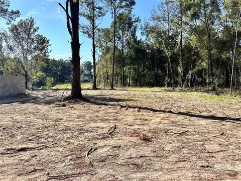 tbd SE 131st Ln, Belleview, FL 34420