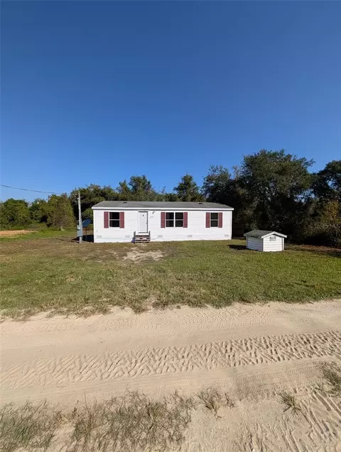 15299 NE 238th St, Fort Mc Coy, FL 32134