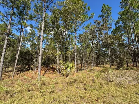 NW Amberjack Avenue, Dunnellon, FL 34431