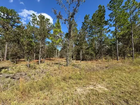 NW Amberjack Avenue, Dunnellon, FL 34431