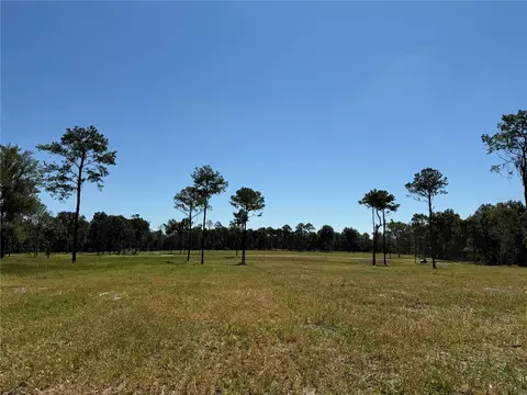 84 NW Ac Nw 193rd St, Micanopy, FL 32667