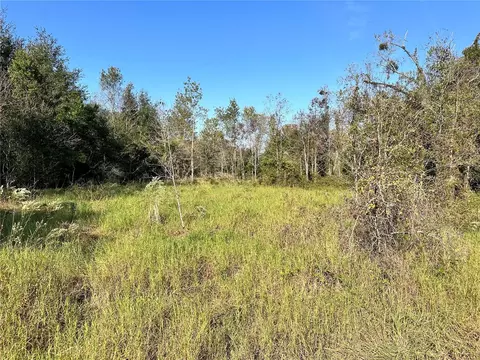 tbd SE 33rd Ter, Summerfield, FL 34491