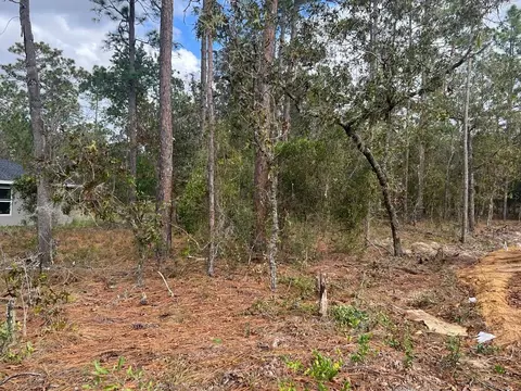 tbd NW Sparrow Rd, Dunnellon, FL 34431