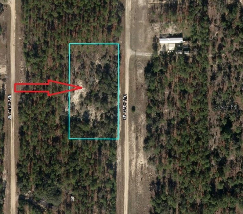 tbd SE 148th Ter, Williston, FL 32696 photo 1