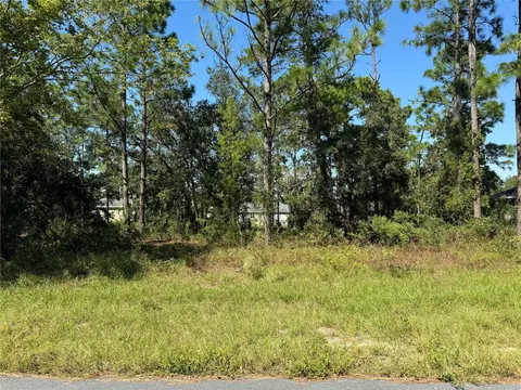 lot31 SW 133rd Street Rd, Ocala, FL 34473